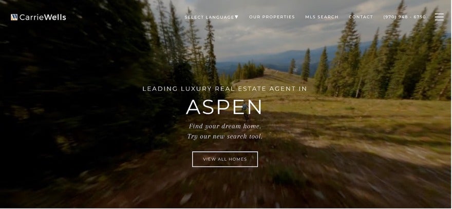 Homepage banner of CarrieWells, a luxury real estate agent in Aspen, with a scenic mountain backdrop, inviting visitors to find their dream home.