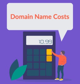 domain name cost