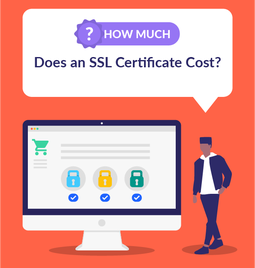 how much does an ssl certificate cost