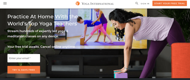 online courses yoga international