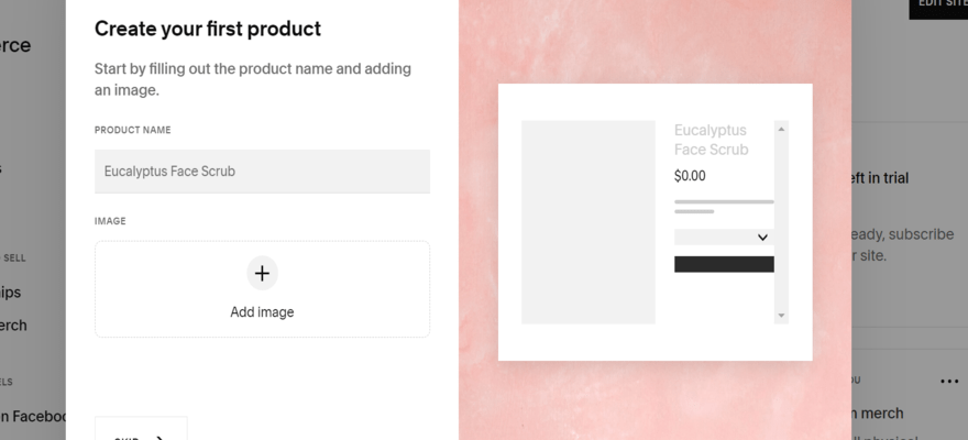 Squarespace's 'Add Products' page. It's split in half, one white side with black text and boxes for users to input details, and the other half pink with a preview of what the product will look like on the page.