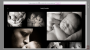 wix photography template emilia client albums