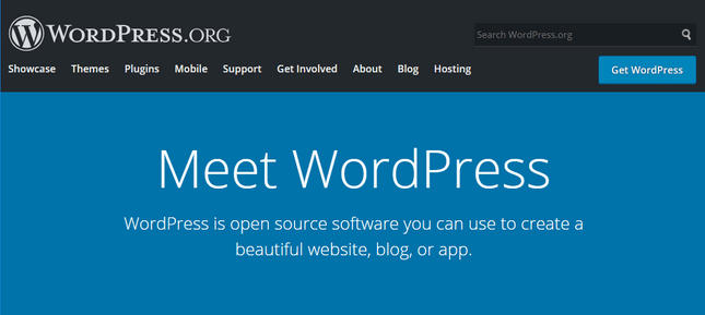 wordpress homepage view
