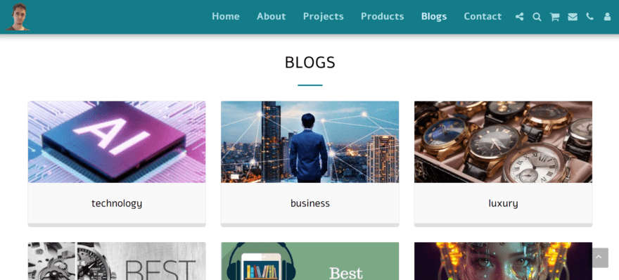 Website page showing categories for a blog